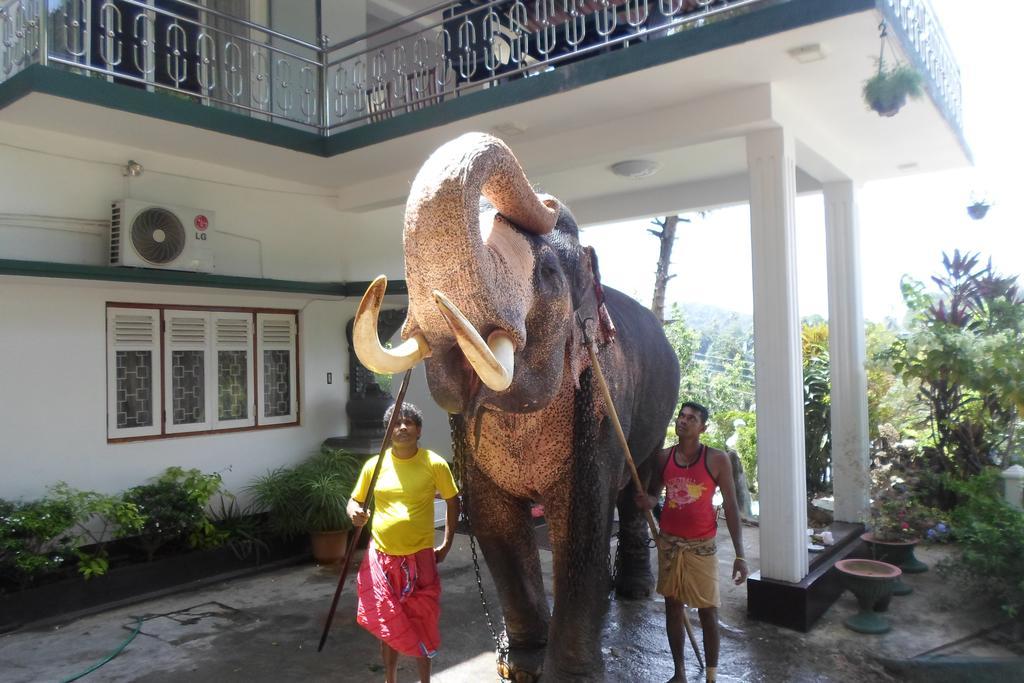 Kandy Hills Extérieur photo